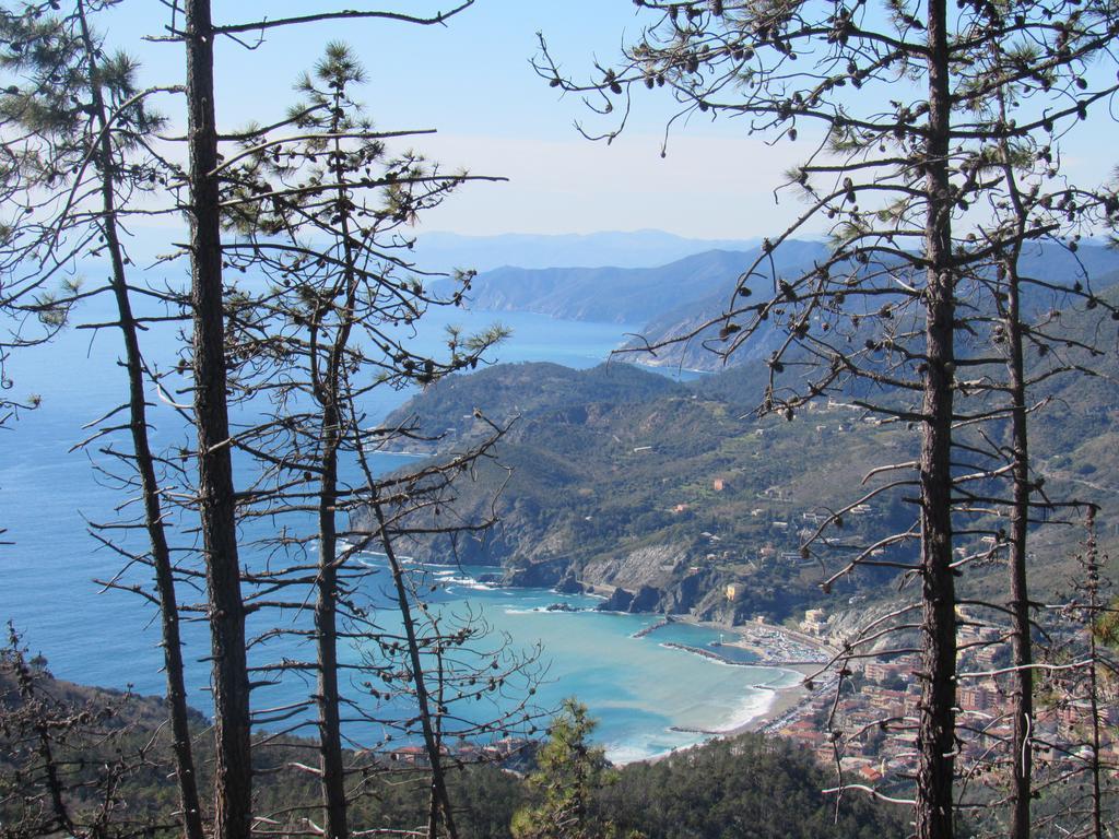Green Quiet Affittacamere Pignone Bagian luar foto