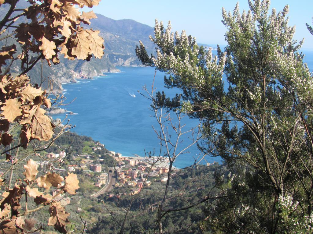 Green Quiet Affittacamere Pignone Bagian luar foto