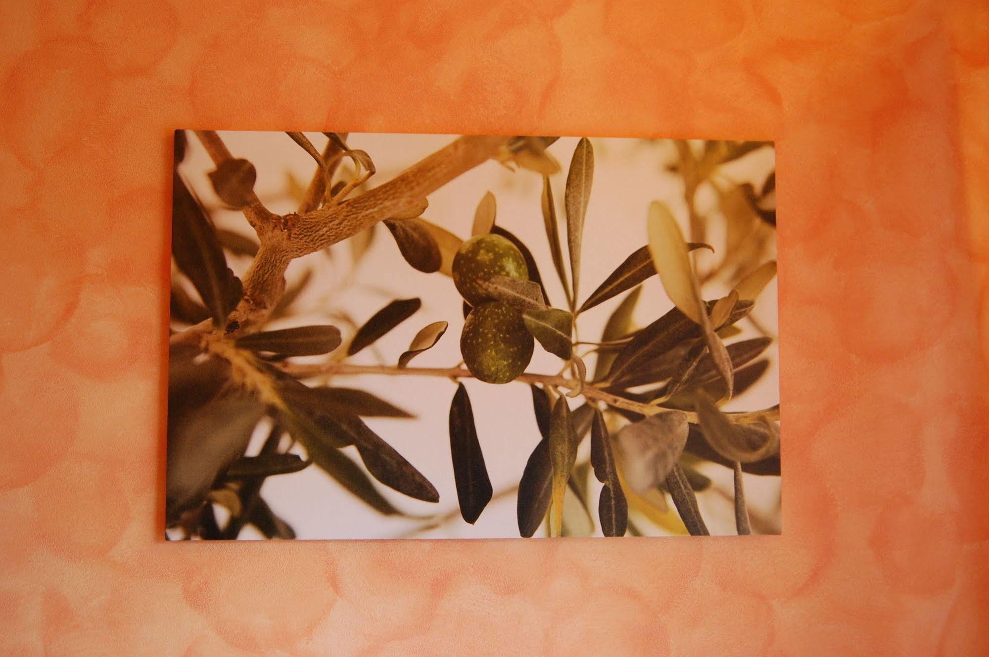 Green Quiet Affittacamere Pignone Bagian luar foto